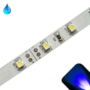 Blue - PLCC2/3528 12V LED Strip - Adhesive Backing - Water Resistant - 5m Roll / Reel