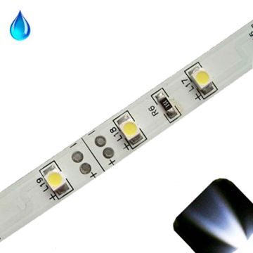 White - PLCC2/3528 12V LED Strip - Adhesive Backing - Water Resistant - 5m Roll / Reel