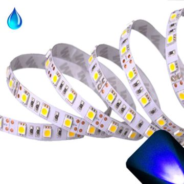 Blue - PLCC6/5050 12V LED Strip - Adhesive Backing - Waterproof - 5cm Section