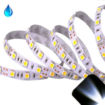 White - PLCC6/5050 12V LED Strip - Adhesive Backing - Waterproof - 5cm Section