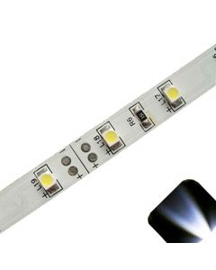 White - PLCC2/3528 12V LED Strip - Adhesive Backing - 5m Roll / Reel