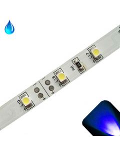 Blue - PLCC2/3528 12V LED Strip - Adhesive Backing - Water Resistant - 5m Roll / Reel