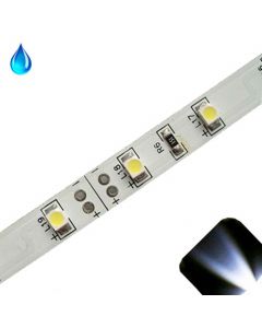 White - PLCC2/3528 12V LED Strip - Adhesive Backing - Water Resistant - 5m Roll / Reel