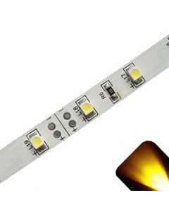 Yellow/Gold - PLCC2/3528 12V LED Strip - Adhesive Backing - 5m Roll / Reel