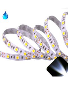 White - PLCC6/5050 12V LED Strip - Adhesive Backing - Waterproof - 5cm Section