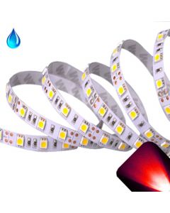 Red - PLCC6/5050 12V LED Strip - Adhesive Backing - Waterproof - 5cm Section