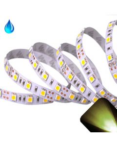 Warm/Soft White - PLCC6/5050 12V LED Strip - Adhesive Backing - Waterproof - 5cm Section