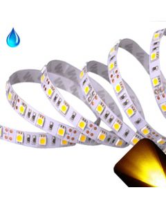 Yellow/Gold - PLCC6/5050 12V LED Strip - Adhesive Backing - Waterproof - 5cm Section
